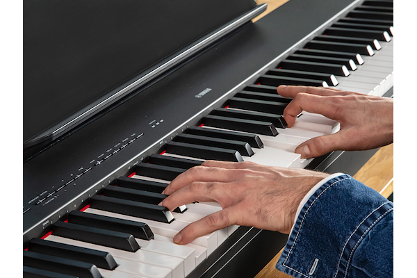 The hands of a person playing the P-225
