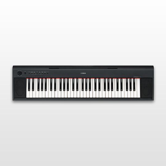 NP-11 - Översikt - Piaggero - Keyboards - Musikinstrument ...