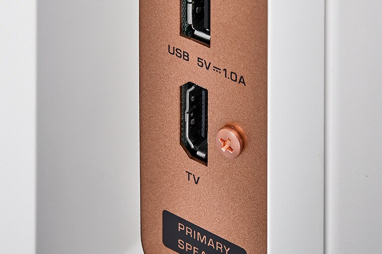 Baksidan på NX-70A-högtalaren som visar HDMI-porten