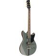 RSS20 Mist Green framdel