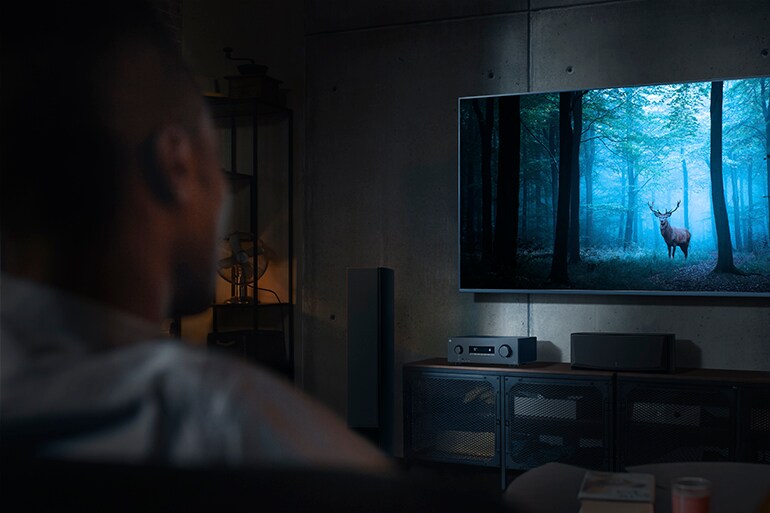 RX300A och en man som tittar på en TV som visar en mystisk skog.