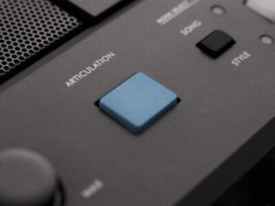 PSR-E483 Bild av ARTICULATION-knappen