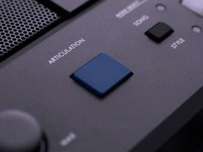 PSR-E583 Bild av ARTICULATION-knappen