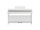 YDP-166_Vit_front