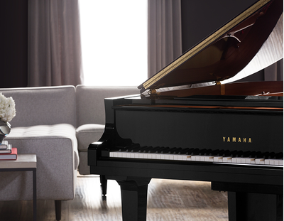 Technologically Discreet, Acoustically Elegant image